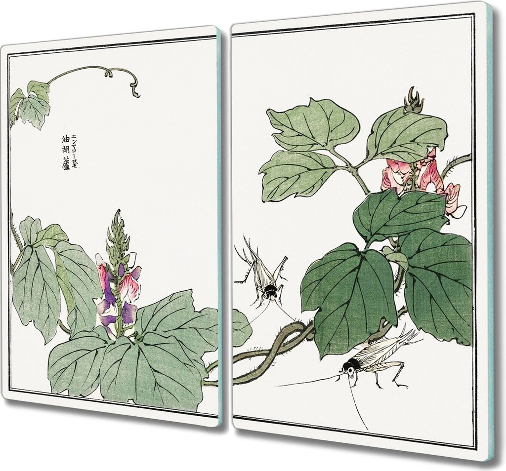 Coloray Kochplattenabdeckung Herdabdeckplatte 2x30x52 cm Hackbrett Schneidebrett Küchenbrett - Asiatische Insekten Liste