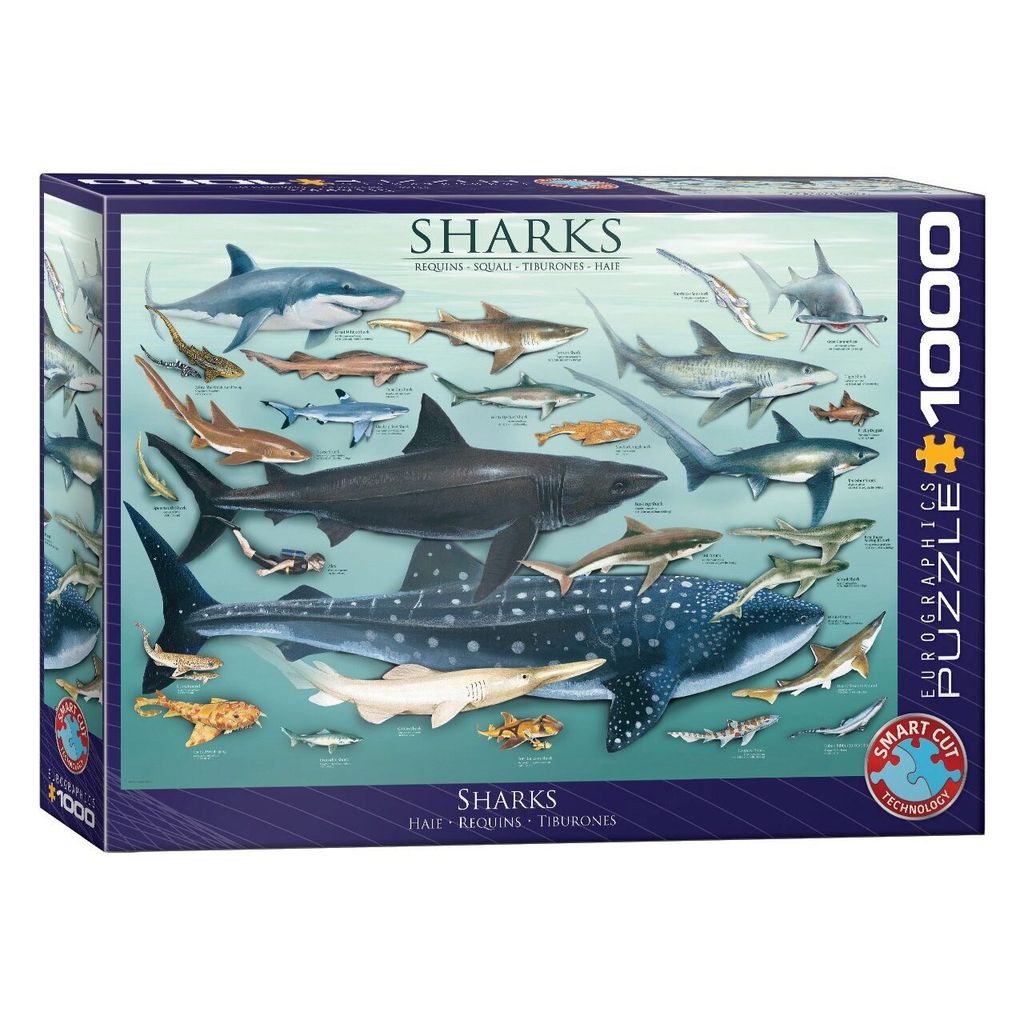Eurographics Puzzle Haie - Tiermotiv 1000 Teile Puzzle