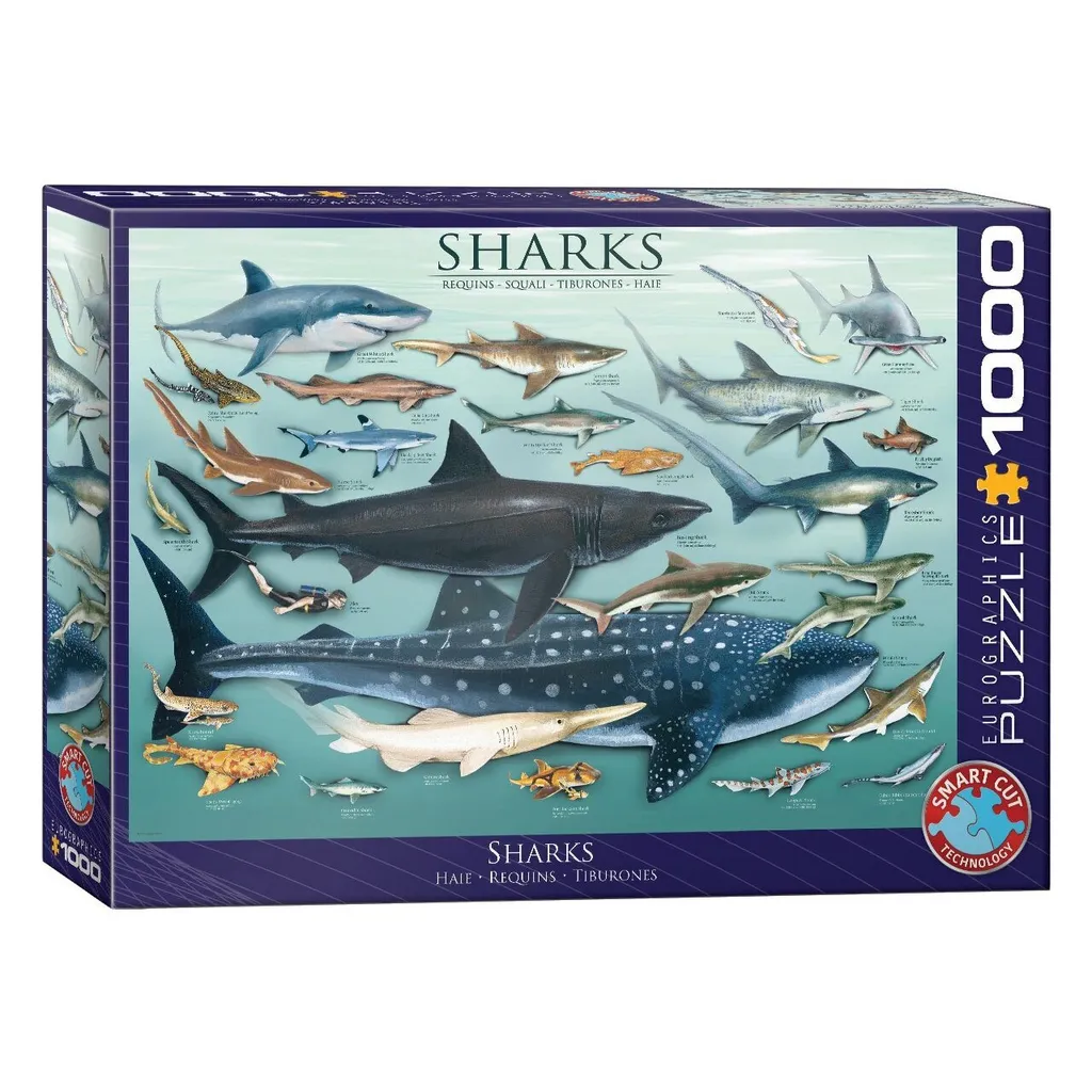 Puzzle Eurographics Requins 1000 Pièces - Collection Smart Cut Scientifique