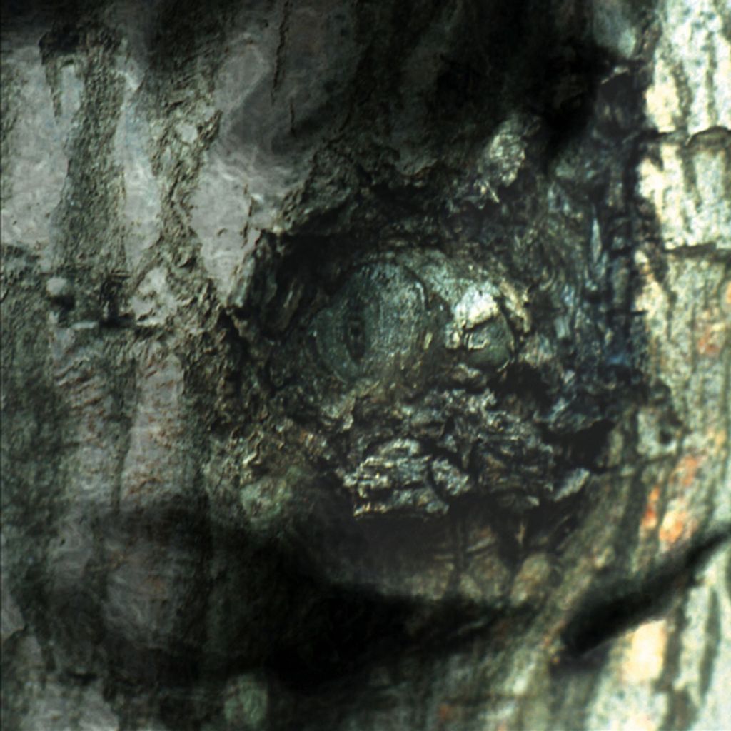 Tiersen,Yann-La Valse Des Monstres/The Waltz Of