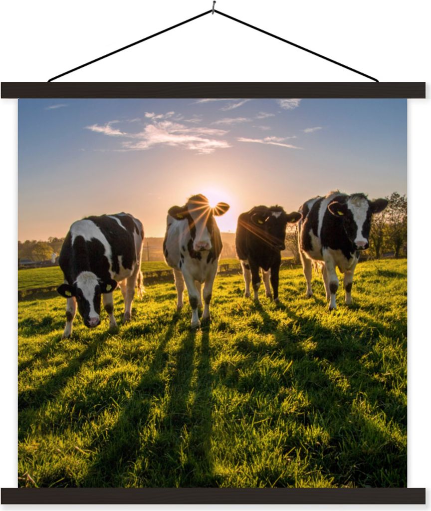 MuchoWow Textilposter Kuh - Gras - Sonne 60x60 cm mit schwarzem Rahmen - Posteraufhänger