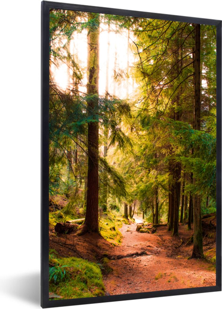 MuchoWow Gerahmtes Poster Wald - Weg - Bäume - Grün - Sonne - Natur 60x90 cm - Poster mit Schwarzem Bilderrahmen Wandposter Rahmen Foto Bilder ...