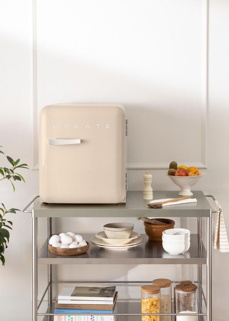 FRIDGE RETRO 48L - Kühlschrank im Retro-Stil