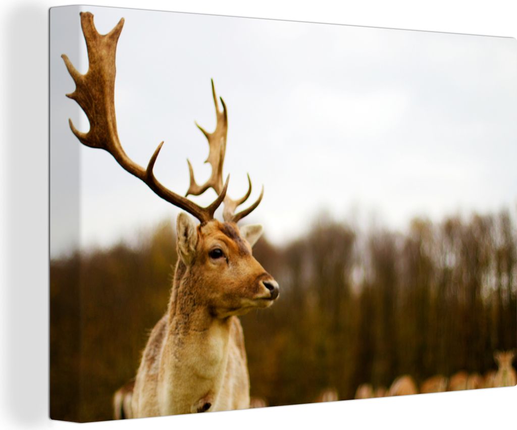 OneMillionCanvasses - Leinwandbilder - 140x90 cm, Damhirsch - Wald - Herde - Tiere - Natur, Wandbilder Kunstdruck Wanddekoration - Foto auf Leinw...