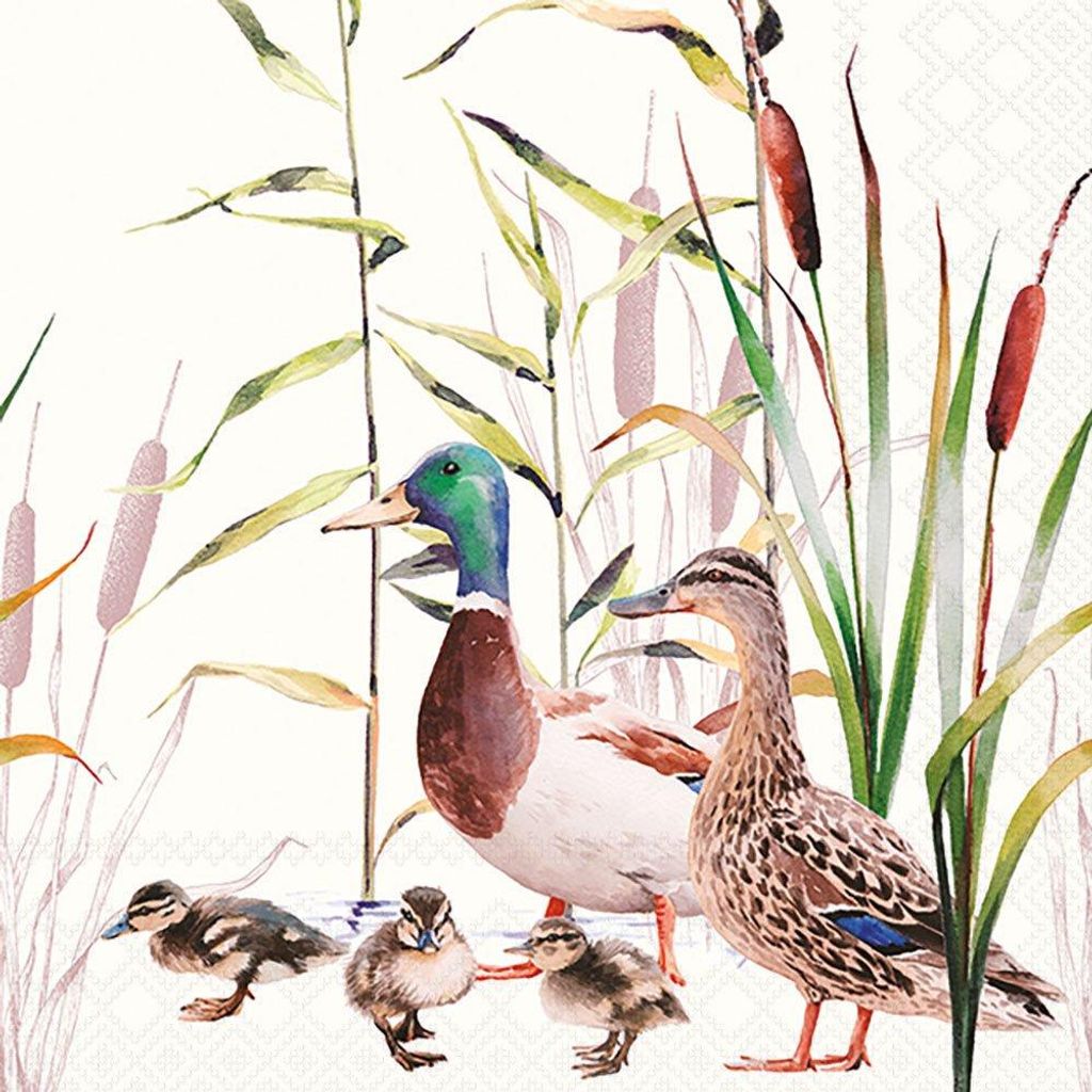 Servietten 33x33 cm - Ducks couple
