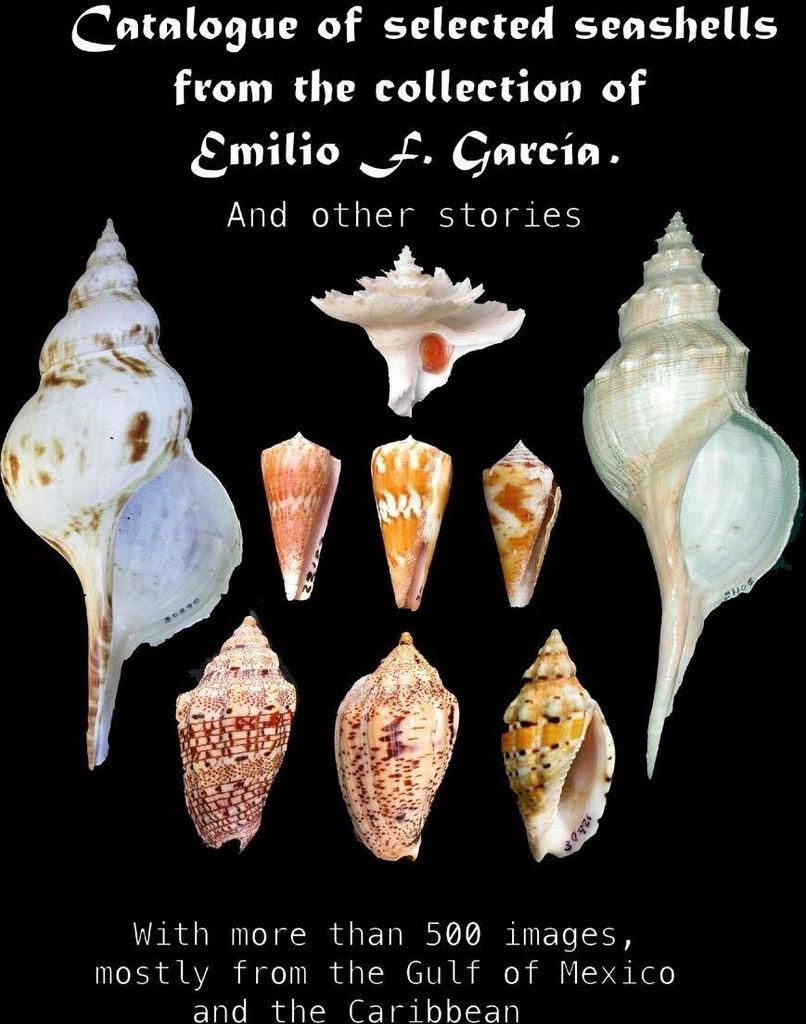 Catalogue of selected seashells from the Emilio F. García collection. And other stories.