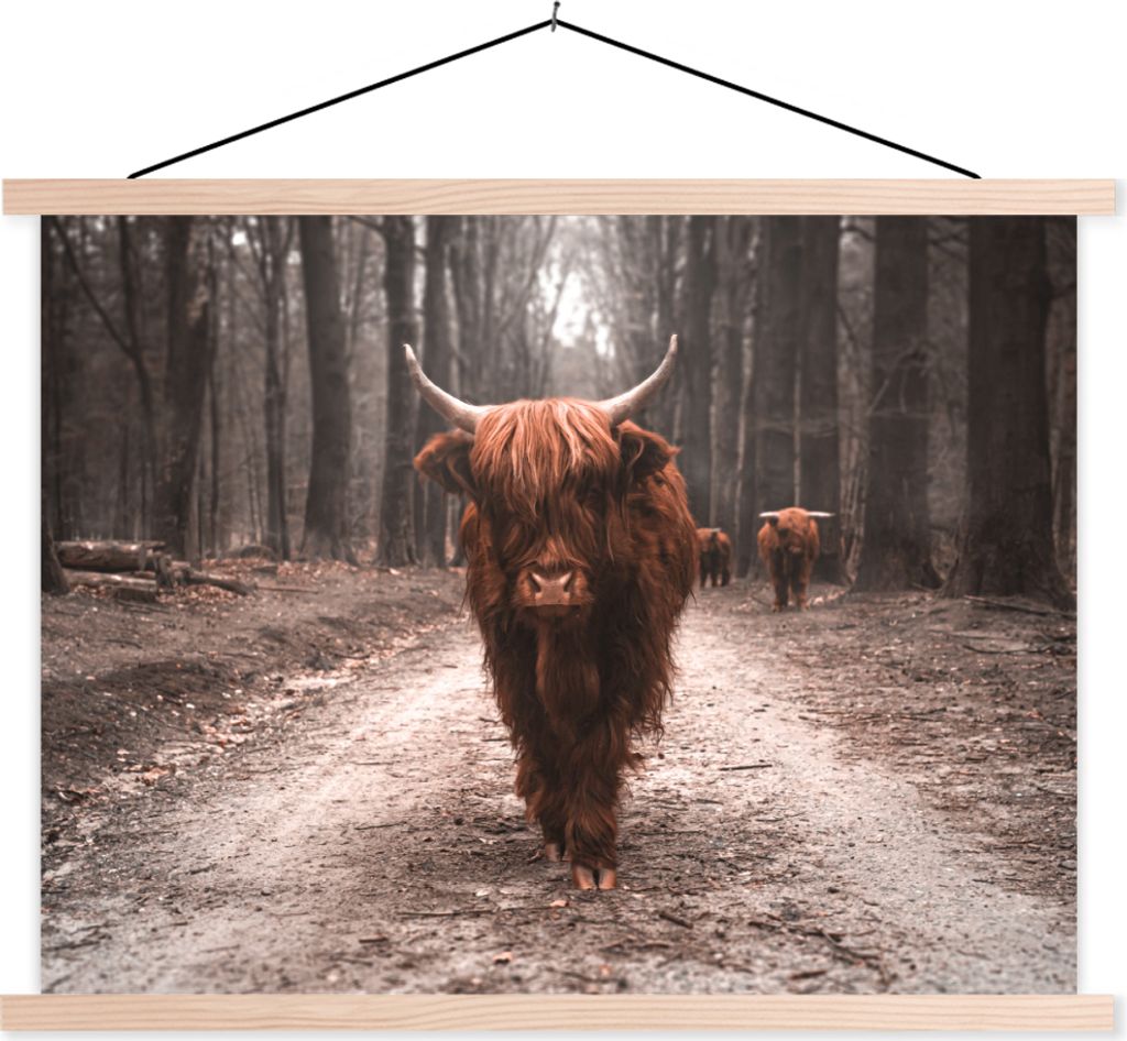 MuchoWow Textilposter Schottisches Hochlandrind - Wald - Kuh - Tiere - Natur 40x30 cm mit holzfarbenen Rahmen - Bilder