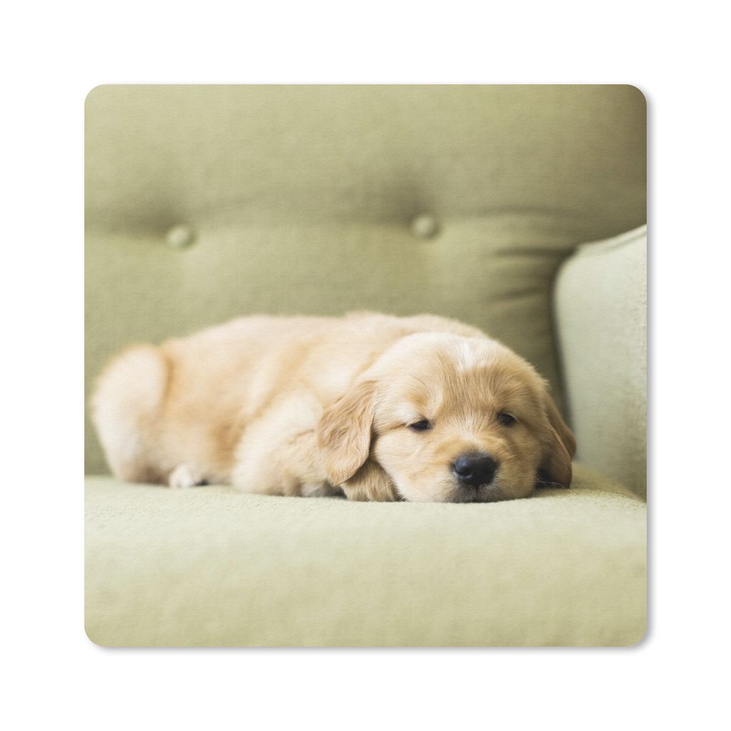 MuchoWow Mauspad Mousepad Ein schlafender Golden Retriever Welpe auf dem Sofa 30x30 cm - Mousepads - Maus Mat - Pad - Mausunterlage - Gaming