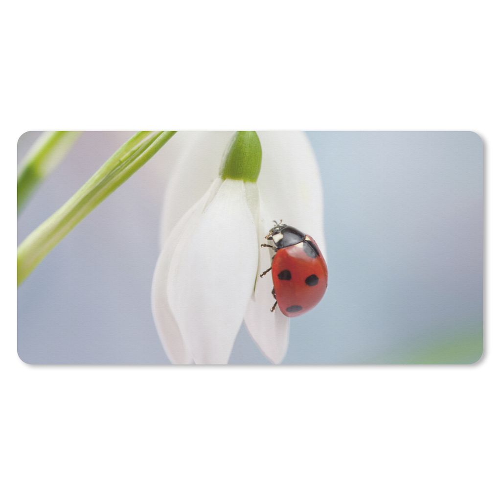 MuchoWow Mauspad Mousepad Marienkäfer auf einem Schneeglöckchen 60x30 cm - Mousepads - Maus Mat - Pad - Mausunterlage - Nachhaltig