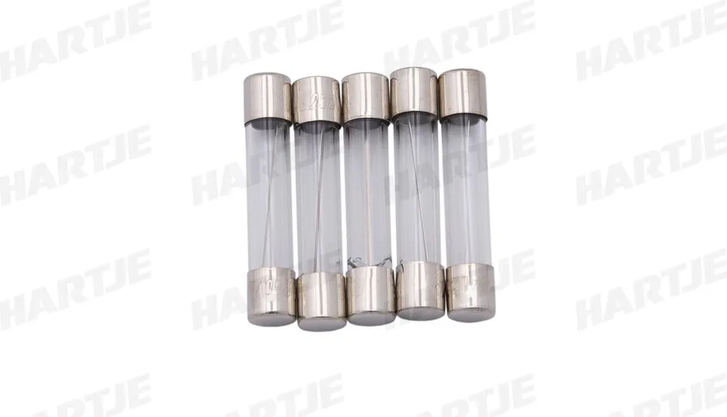 Fusible en verre 10A haute visibilité 6,3x30 mm spécial auto japonaise