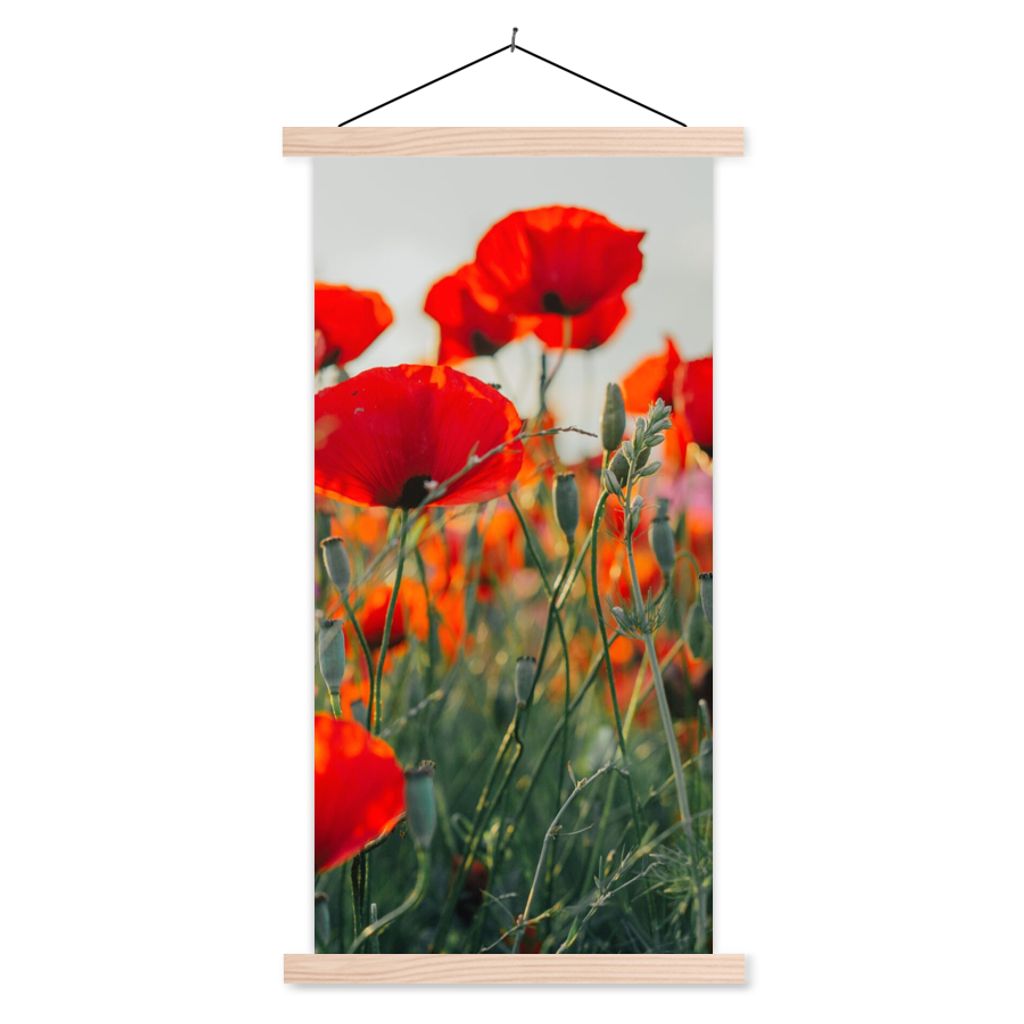 MuchoWow Textilposter Mohn - Blumen - Rot - Lila - Wiese 60x120 cm mit holzfarbenen Rahmen - Holz