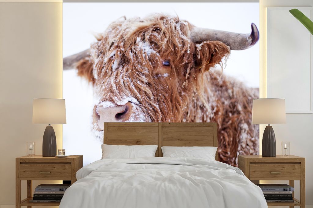 MuchoWow Fototapete für Wohnzimmer oder Schlafzimmer Wandtapete Vinyl Motivtapete Schottischer Highlander - Schnee - Braun - 240x240 cm - Schlaf...