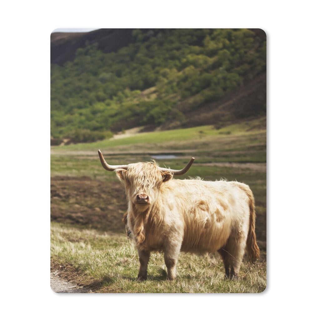 MuchoWow Mauspad Mousepad Schottische Highlander - Pfad - Wald 30x40 cm - Mousepads - Maus Mat - Pad - Mausunterlage - Mausmatten