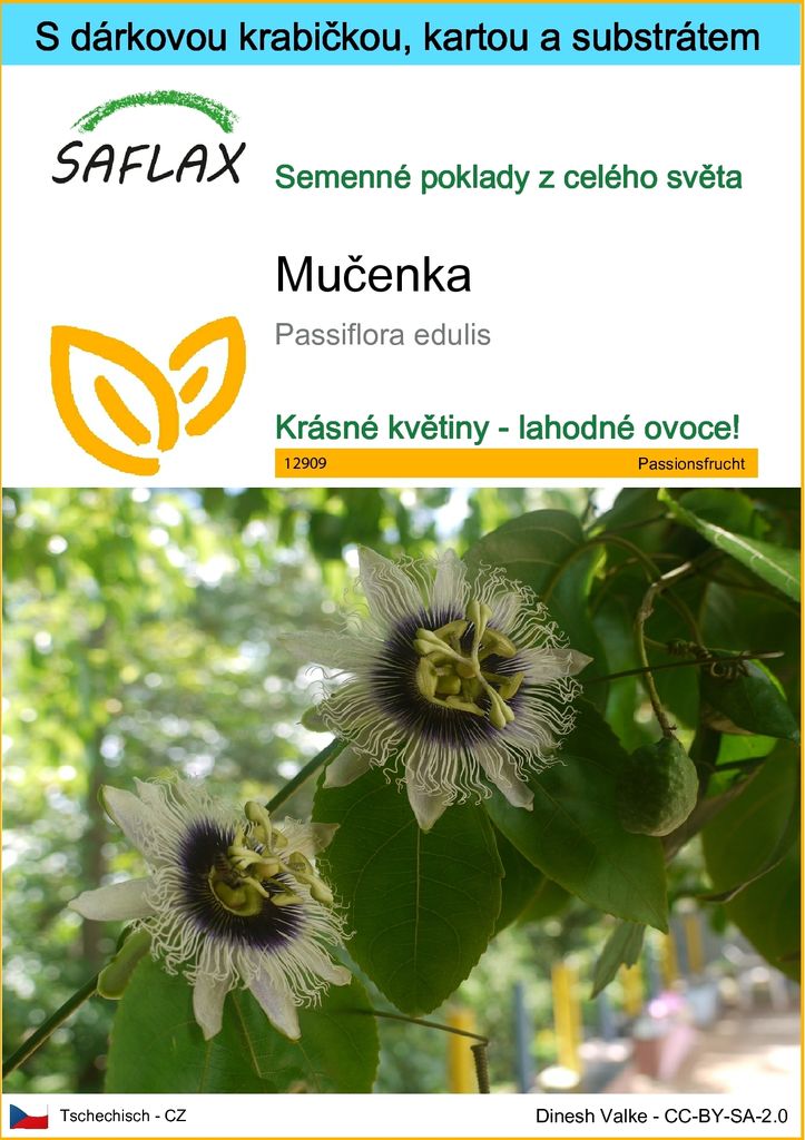 SAFLAX Dárková sada - mučenka - Passiflora edulis - 40 Obrázek produktu 