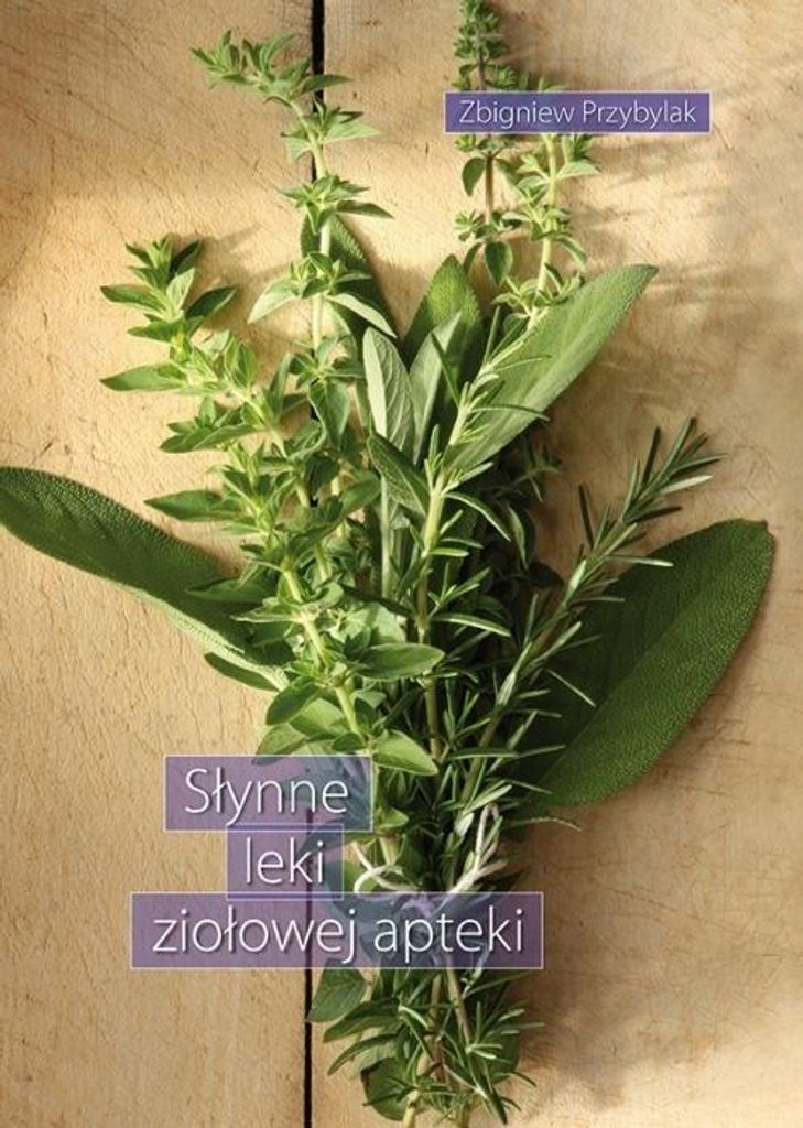 Słynne leki ziołowej apteki - Zbigniew Przybylak (Ratgeber auf Polnisch)