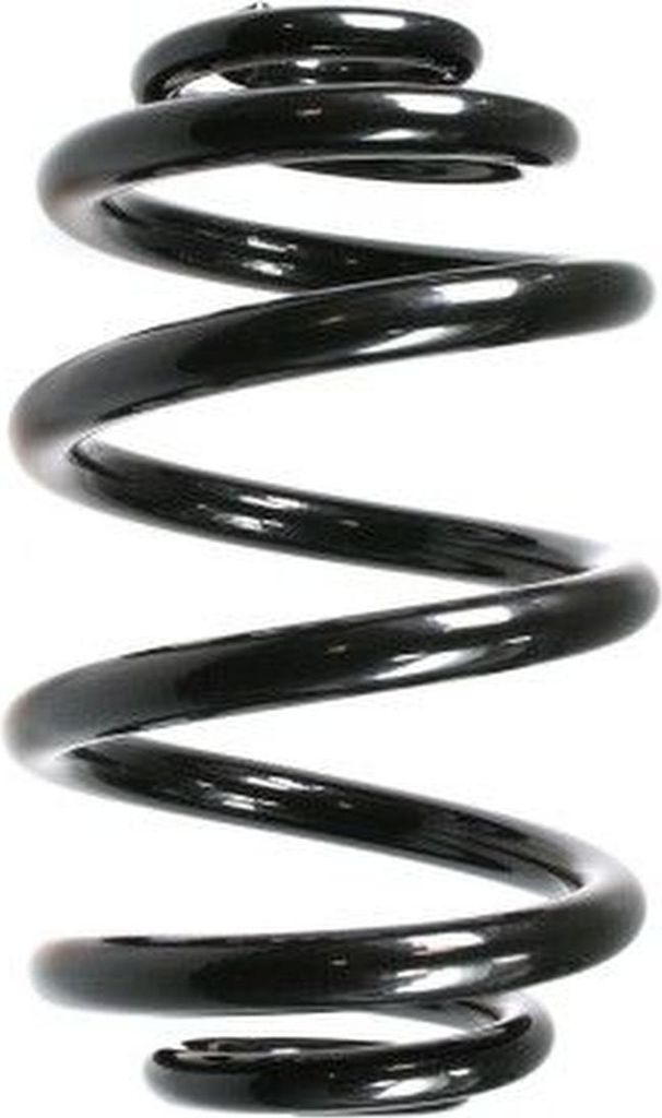 SPIDAN Fahrwerksfeder Hinten für BMW 3 Touring (E46) 55122