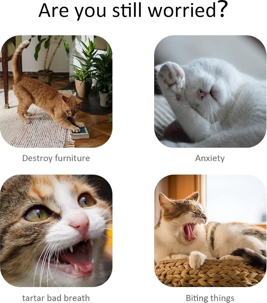 Katzenspielzeug zum Aufhängen an der Tür, für Katzen, Produktbild 6