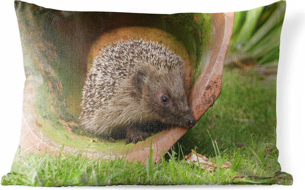 MuchoWow Outdoor Kissen - Igel im Einmachglas - 50x30 cm - Wetterfest - Lounge Kissen - Sofa kissen - Wohnzimmer Dekoration