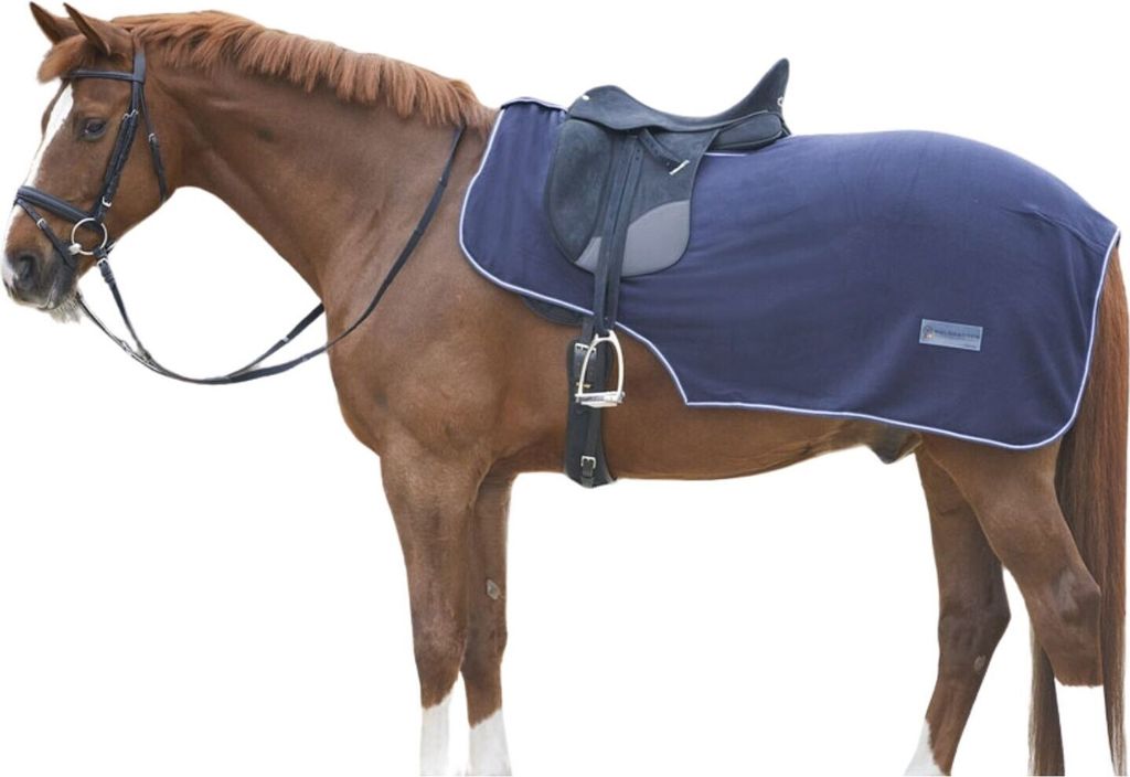 Waldhausen Ausreitdecke Fleece Economic dunkelblau Pferdedecke Nierendecke in P/S