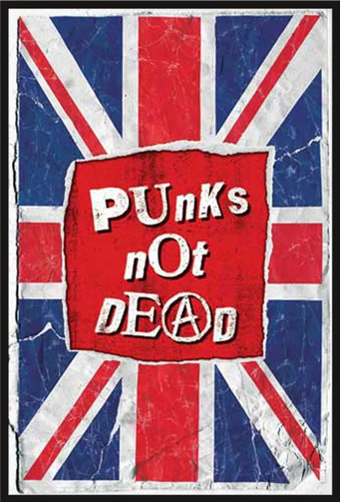 Affiche Punks Not Dead sous Cadre Anti-Casse et Anti-Poussière Noir Shinsuke