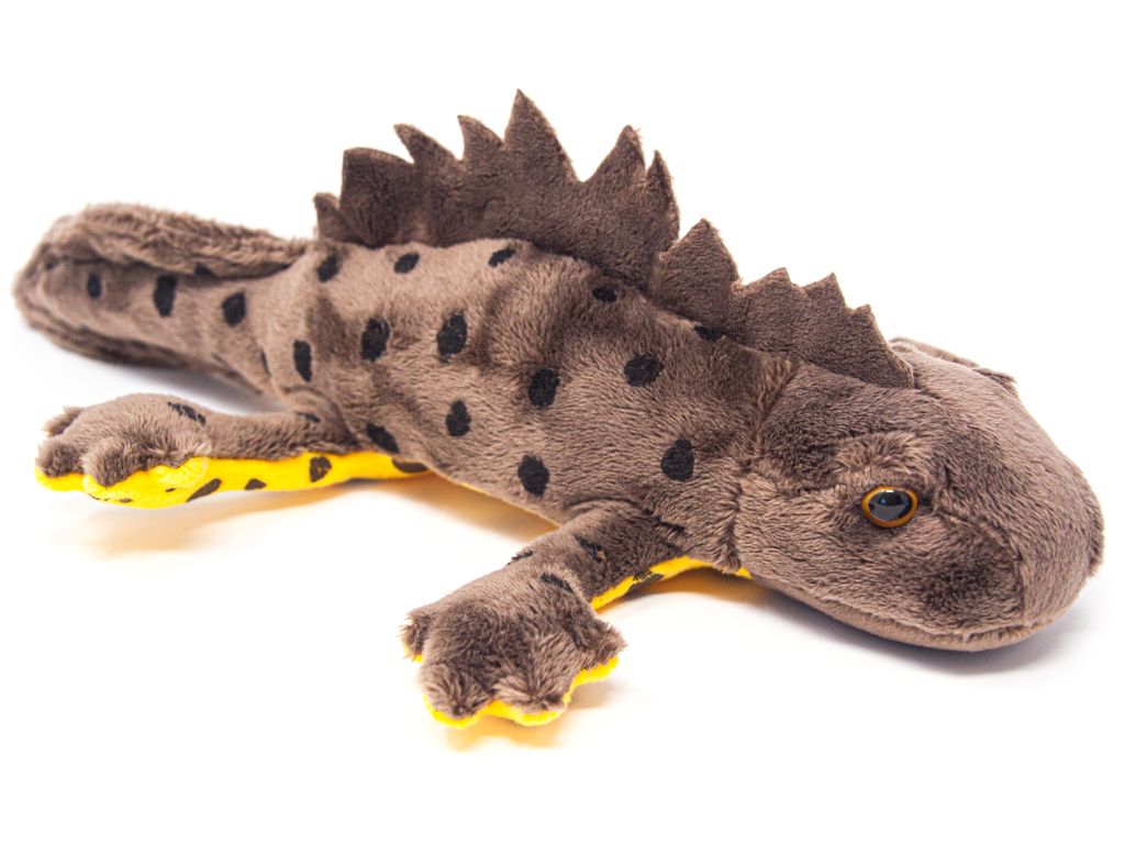 A plush toy salamander on a white background.