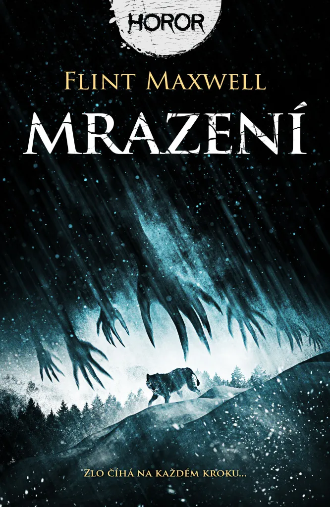 Mrazení Flint Maxwell : le livre idéal pour vos soirées lecture à suspense