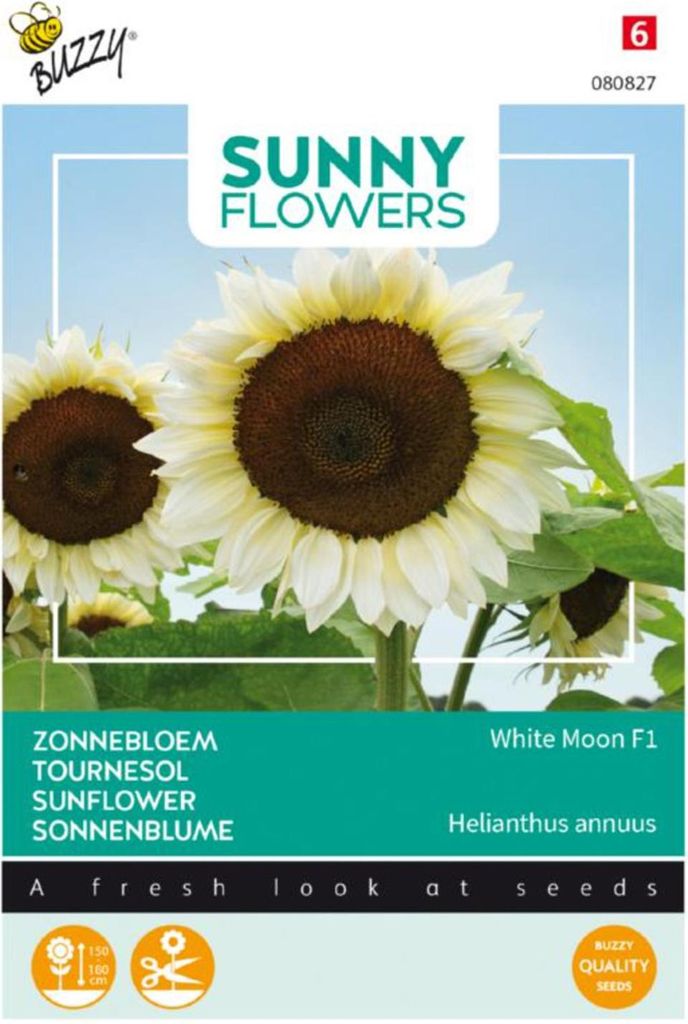 Buzzy Sunny Flowers Sonneblume White Moon F1 Samen - Ca. 6 Samen | Buzzy_080827