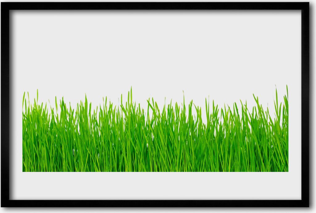 Bild 60x40 MDF-Rahmen Wandkunst Gras Natur Pflanze
