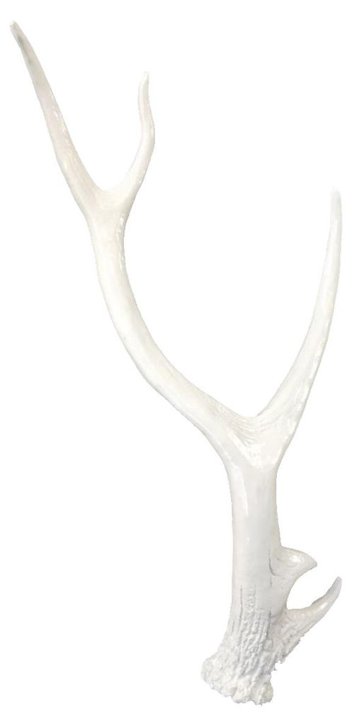 Geweih Tischdeko Hirschgeweih weiß glänzend 63x27x9cm aus Polyresin