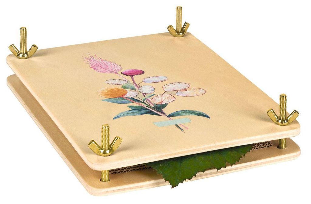 moses. Blatt & Blüte - Pressa per fiori, pressa per foglie Immagine del prodotto 
