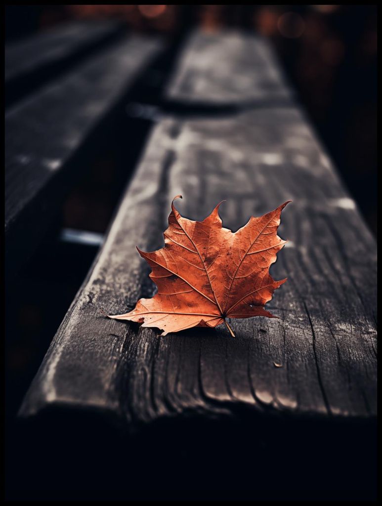 Plakat 75x100cm Einzelnes Blatt