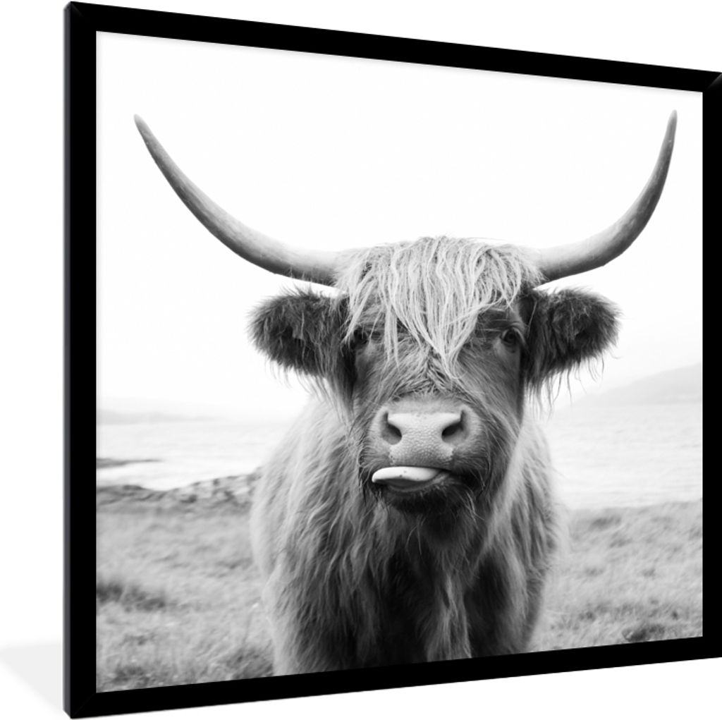 MuchoWow Gerahmtes Poster Tiere - Schottischer Highlander - Kuh - Schwarz - Weiß 40x40 cm - Poster mit Schwarzem Bilderrahmen Wandposter Rahmen ...