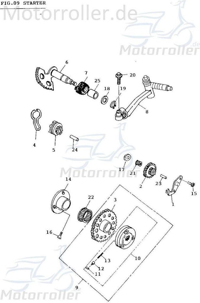 Adly Senkkopfschraube M6x16mm Scoody 50 2 Roller 50ccm 2Takt Motorroller.de Senkschraube Senkkopf-Schraube Senk-Schraube Minarelli liegend Scooter