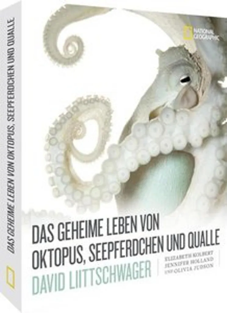 Livre illustré océan avec de superbes photos de la faune