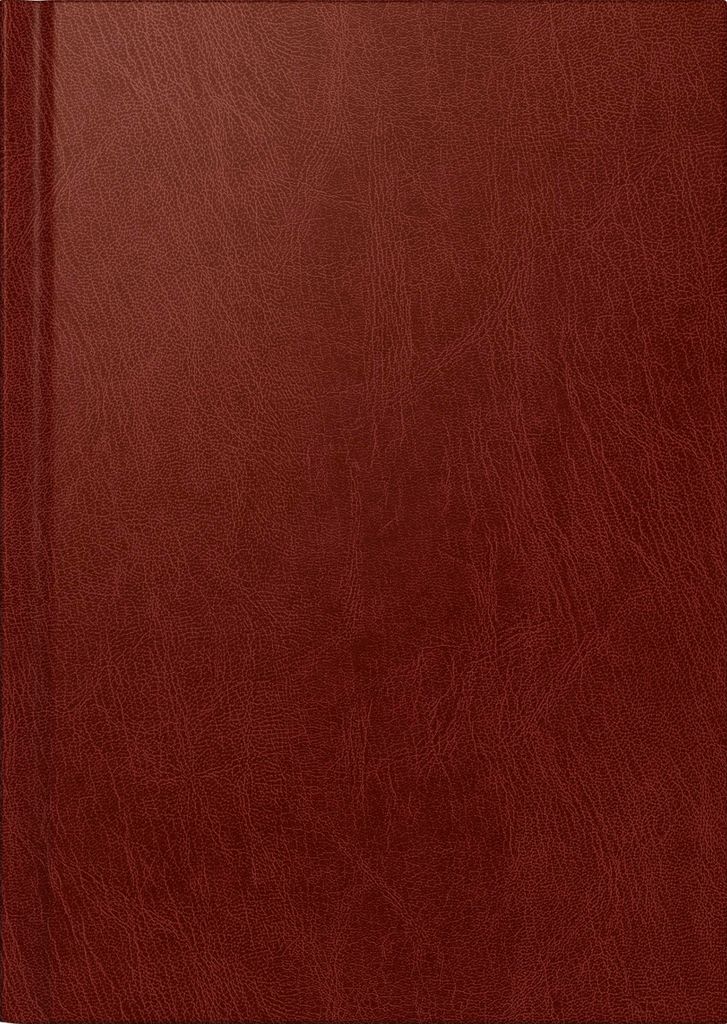 Buchkalender Chefplaner 14,5x20,6cm 1 Tag/Seite Produktbild 