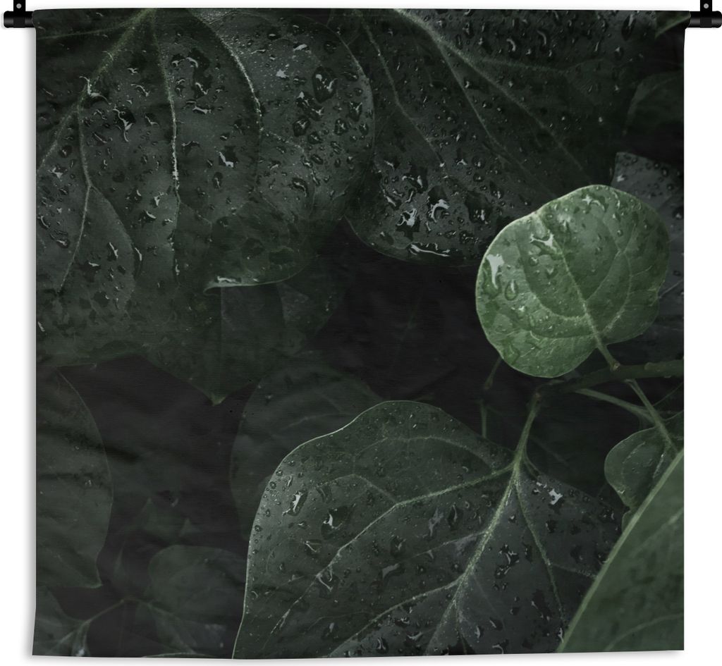 MuchoWow Wandteppich Wandbehang Nahaufnahme von Regentropfen auf großen Blättern 150x150 cm Tapisserie Dekoration Wandtuch - Wohnaccessoires - ...