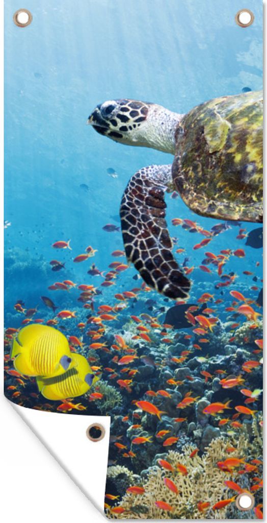 MuchoWow 30x60 cm Outdoor-Poster Gartendeko Sichtschutz Garten Poster für den Garten Schildkröte am Korallenriff