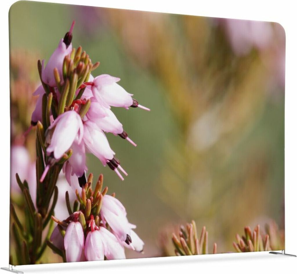 Showdown Textil Raumteiler Basic - 150-150 Doppel Pinke Blume - Silberner Rahmen