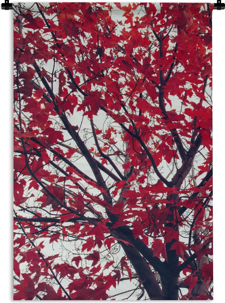 MuchoWow Wandteppich Wandbehang Ahorn - Blätter - Herbst - Natur 90x135 cm Tapisserie Dekoration Wandtuch - Baumwolle - Wandskulptur