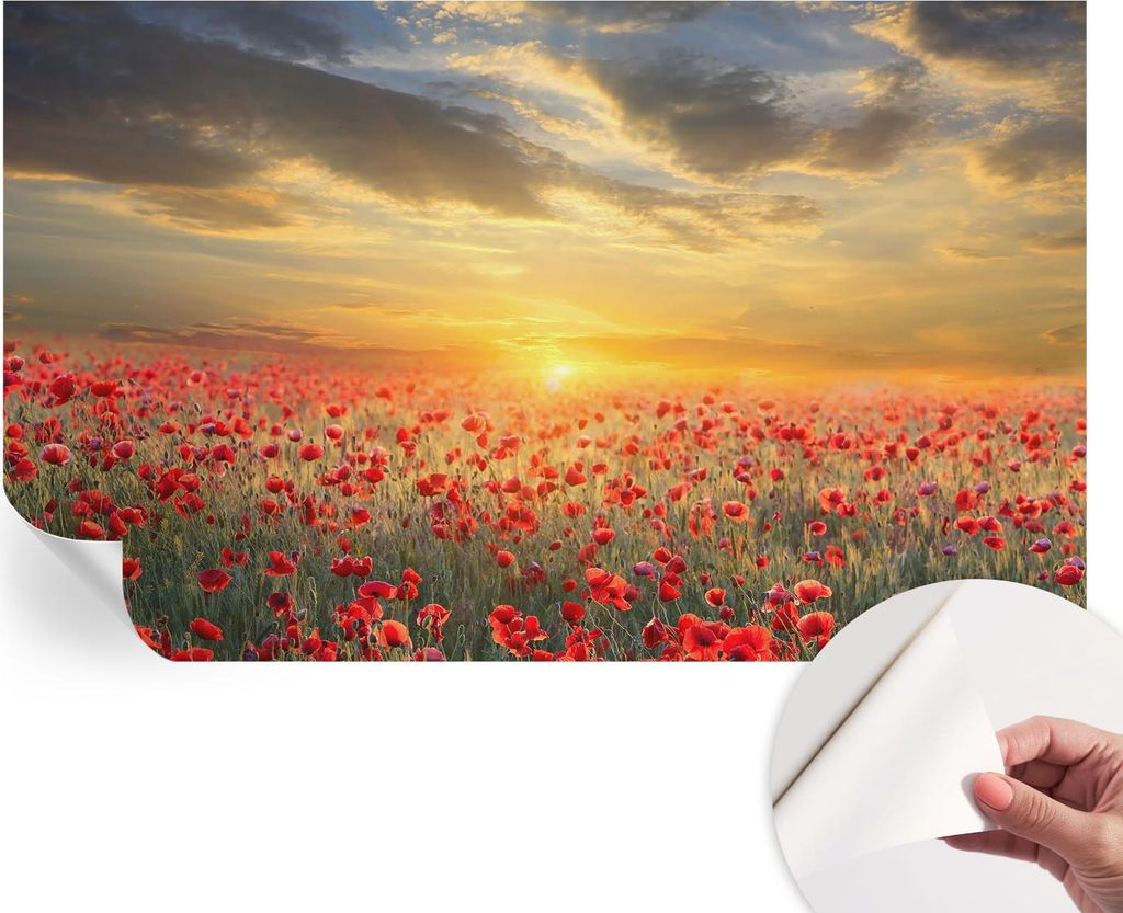 Selbstklebende Wandtapete - Dekorative Tapete für Wohnzimmer - Klebefolie für Wandbilder - Tapetenfolie für Wanddekoration - 416x254 - Mohnfeld