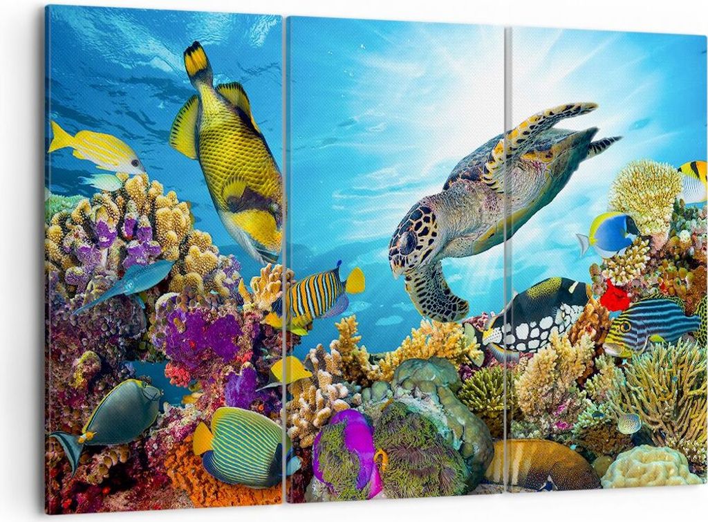 Bild auf Leinwand - Leinwandbild - Riff Koralle Fisch - 105x70cm - Wand Bild - Wanddeko - Leinwanddruck - Bilder - Kunstdruck - Wanddekoration - Le...
