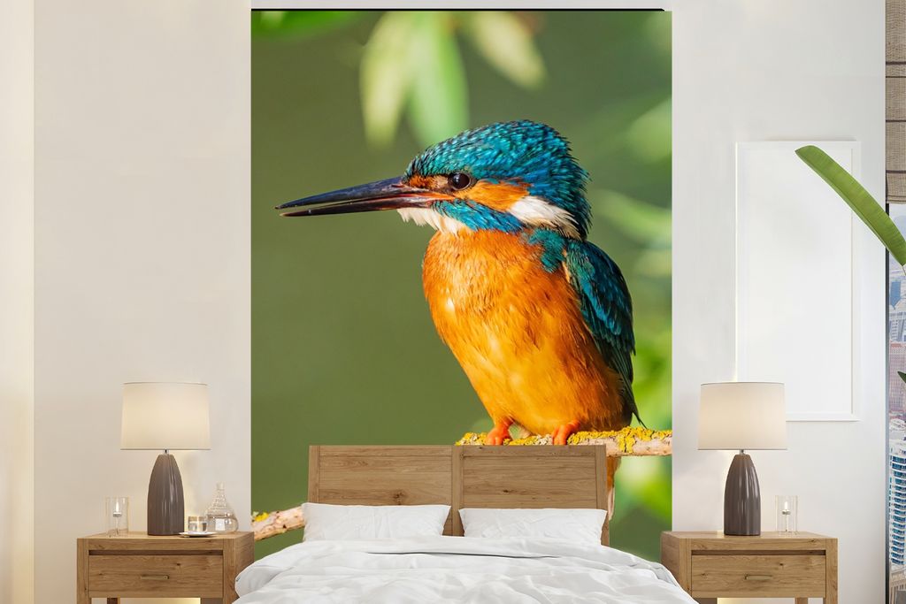 MuchoWow Fototapete für Wohnzimmer oder Schlafzimmer Wandtapete Vinyl Motivtapete Vogel - Eisvogel - Zweig - Blätter - Moos - 160x240 cm - Viny...