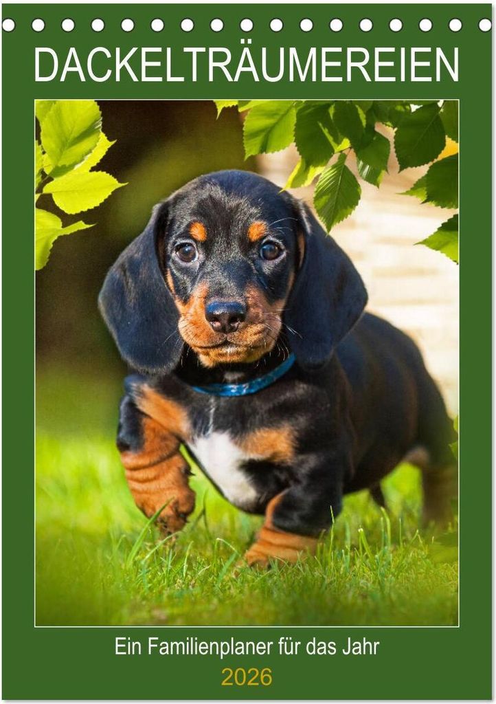 Dackelträume - Ein Familienplaner für das Jahr (Tischkalender 2026 DIN A5 hoch), CALVENDO Monatskalender