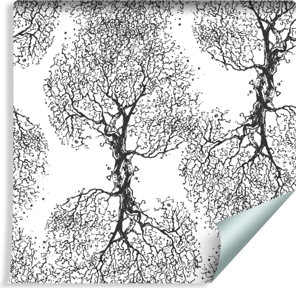 10m VLIES TAPETE Rolle Schwarz Weiß Baum √Ąste Natur XXL Produktbild 