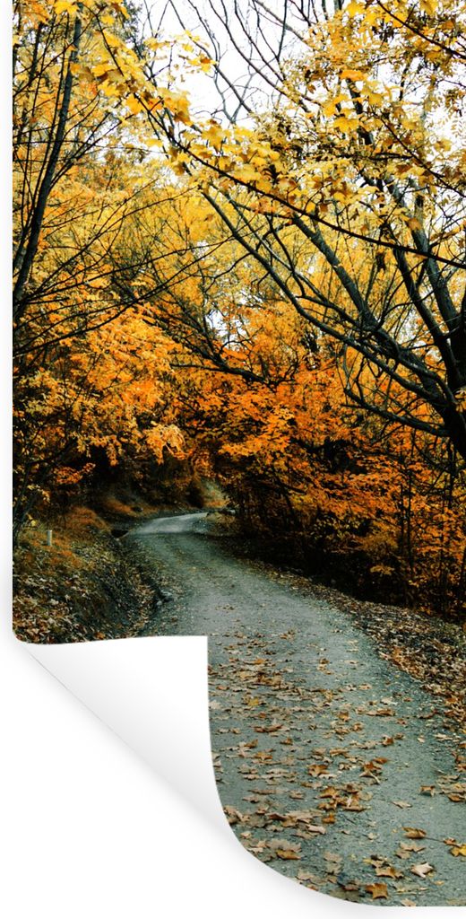 MuchoWow Wandtattoo Wandsticker Wandaufkleber Blätter - Herbst - Wald 80x160 cm Selbstklebend und Repositionierbar - Sticker - Dekorfolie