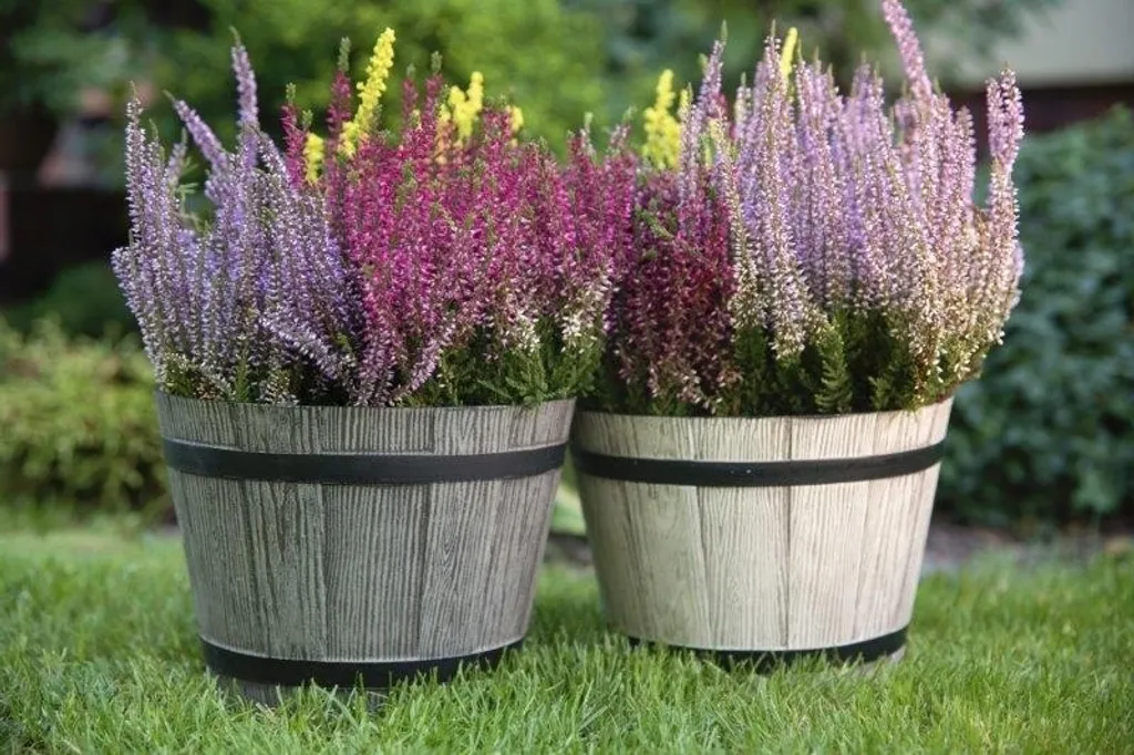 Cache-pot Design Sori 23 cm Marron Clair pour Plantes et Arbustes - 11