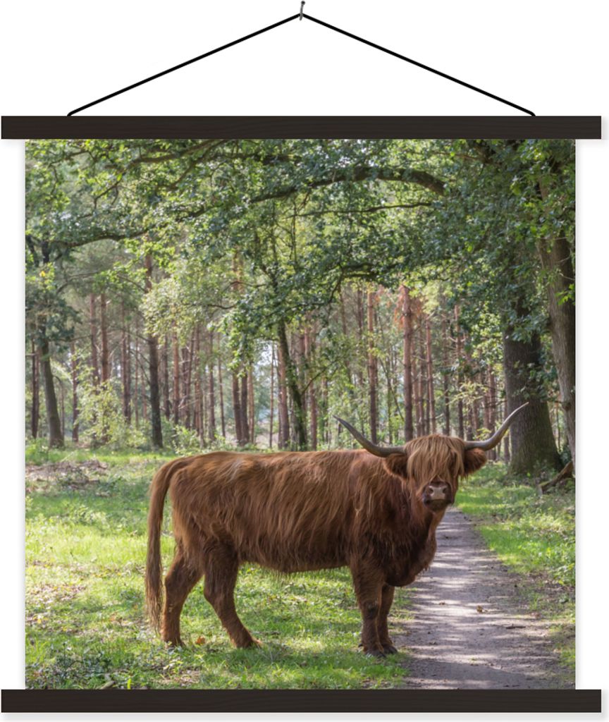 MuchoWow Textilposter Schottisches Hochlandrind - Kröte - Baum 120x120 cm mit schwarzem Rahmen - Aufhängungsset