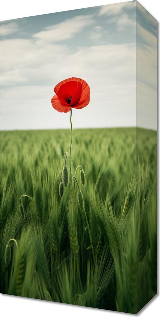 Bild 20x40cm Einsamer Mohn auf dem Feld
