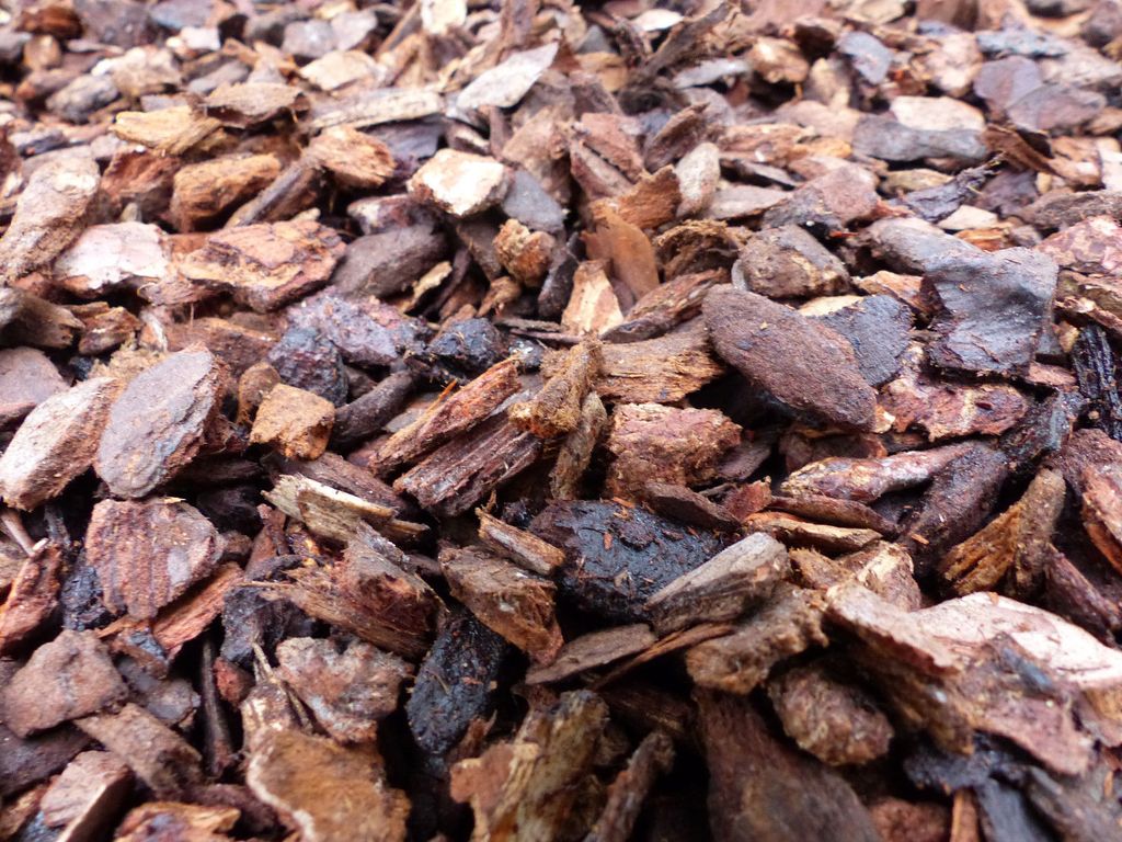 15 Sack: 70 Liter Premium Pinienrinde Mulch | Kaufland.de