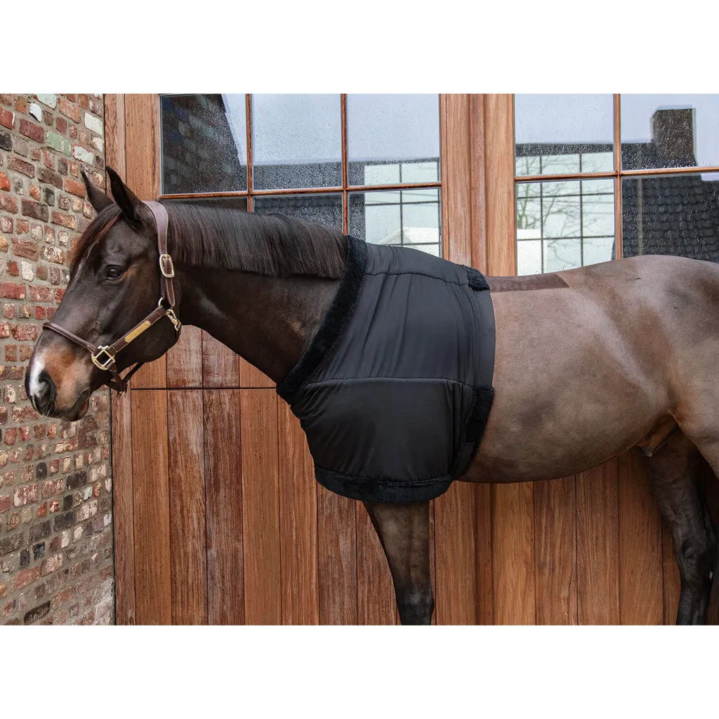 Kentucky Horsewear Proteggi Petto XL Nero | Soluzione Anti-Sfregamento - 2